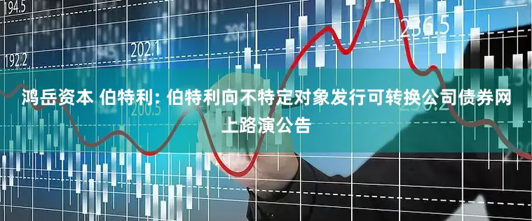 鸿岳资本 伯特利: 伯特利向不特定对象发行可转换公司债券网上路演公告