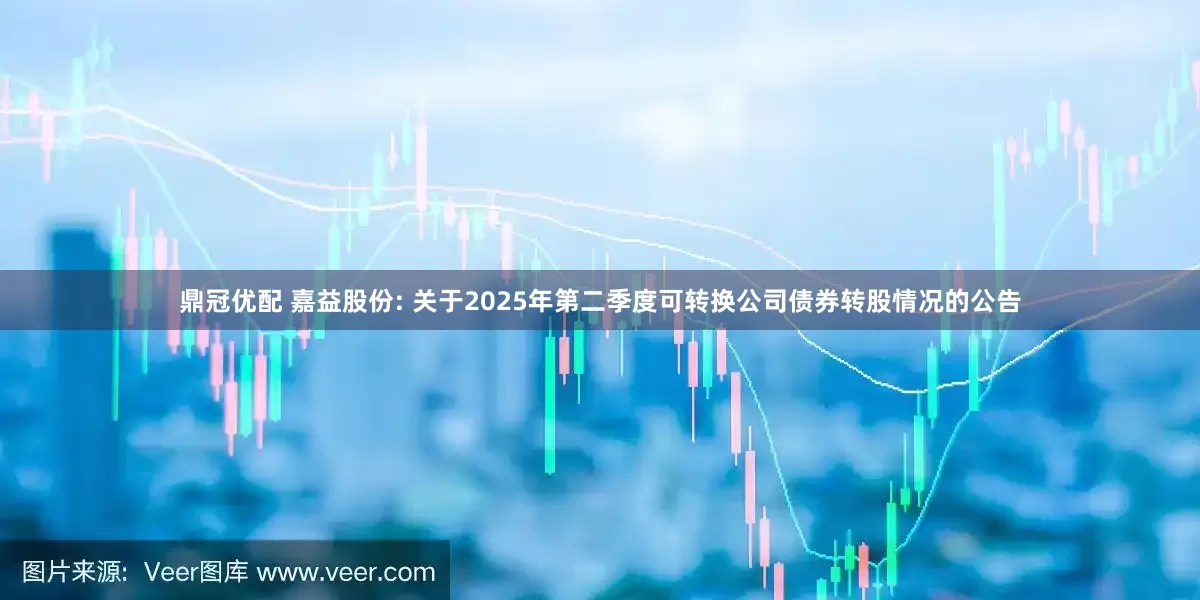 鼎冠优配 嘉益股份: 关于2025年第二季度可转换公司债券转股情况的公告