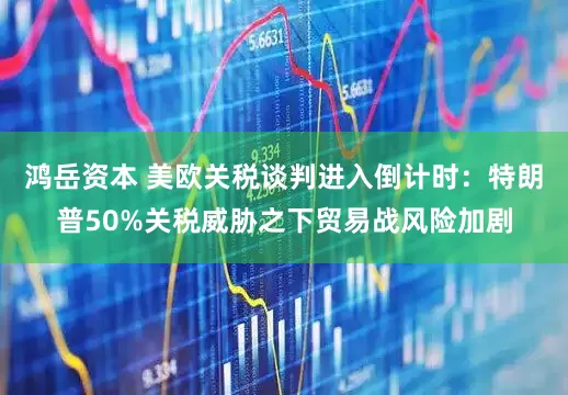 鸿岳资本 美欧关税谈判进入倒计时：特朗普50%关税威胁之下贸易战风险加剧