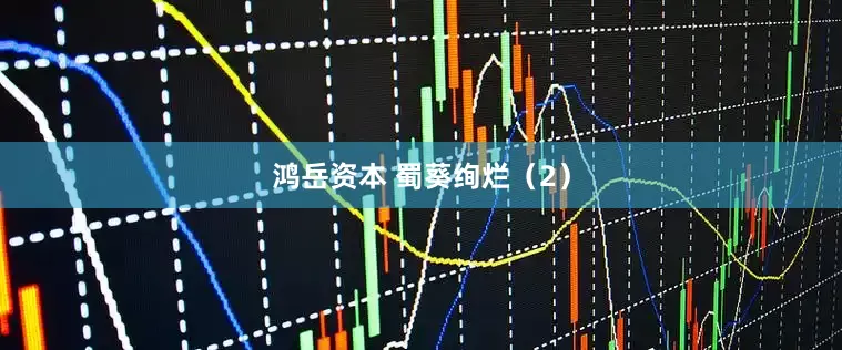 鸿岳资本 蜀葵绚烂（2）