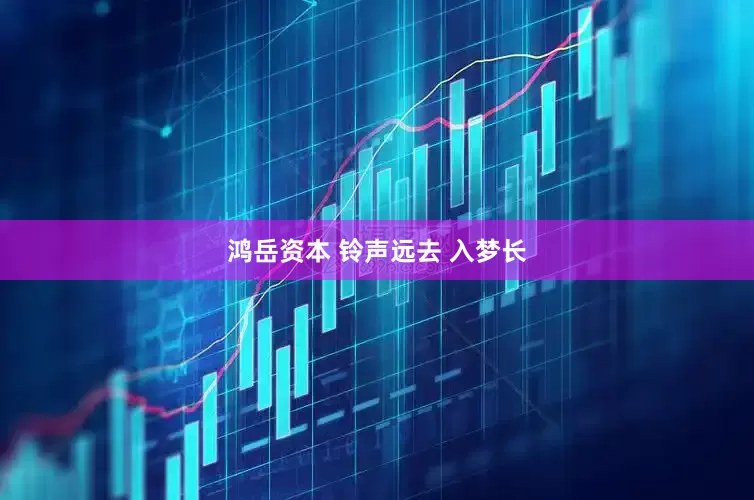 鸿岳资本 铃声远去 入梦长