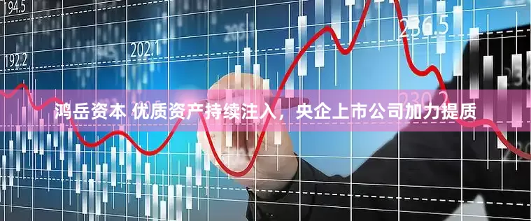 鸿岳资本 优质资产持续注入，央企上市公司加力提质