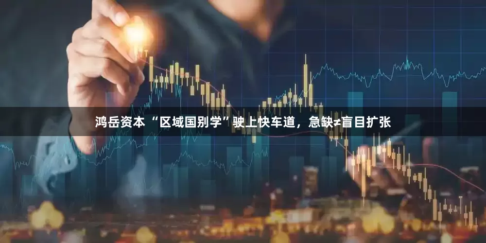 鸿岳资本 “区域国别学”驶上快车道，急缺≠盲目扩张