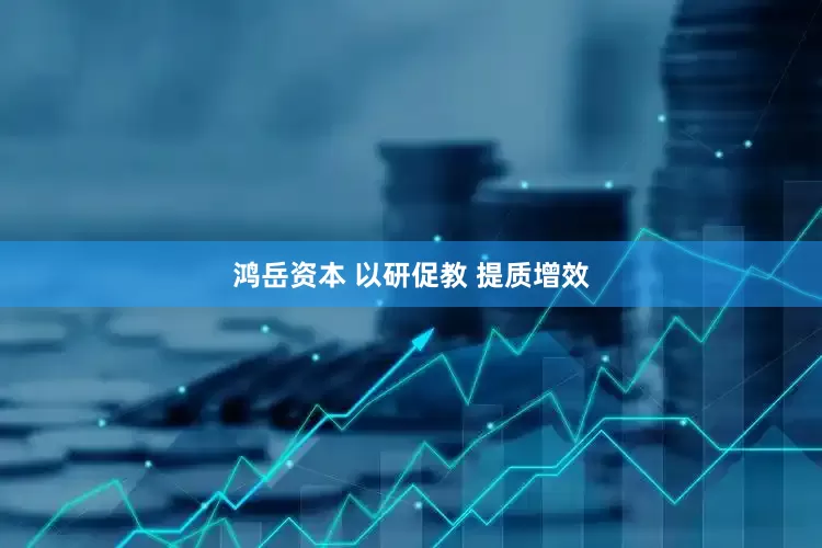 鸿岳资本 以研促教 提质增效