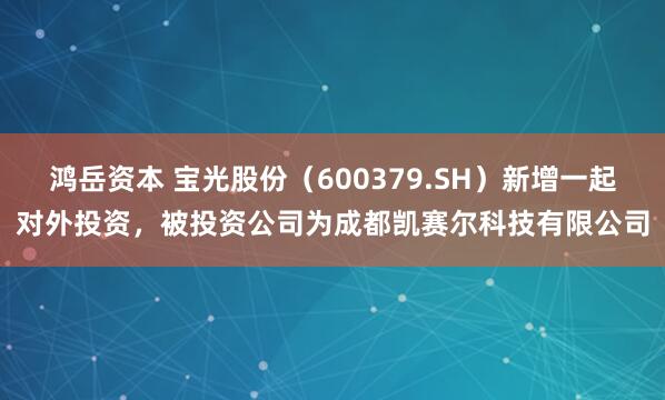 鸿岳资本 宝光股份（600379.SH）新增一起对外投资，被投资公司为成都凯赛尔科技有限公司