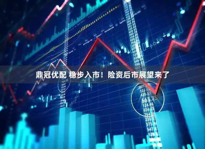 鼎冠优配 稳步入市！险资后市展望来了