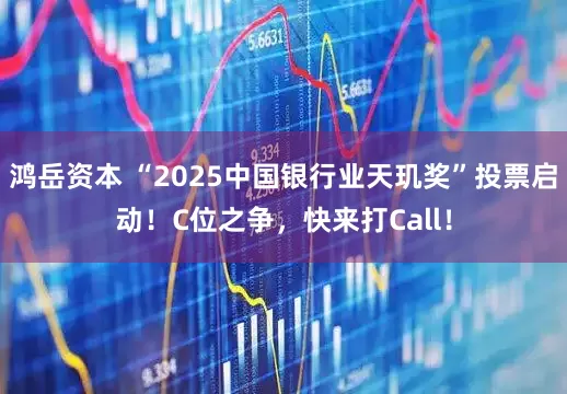 鸿岳资本 “2025中国银行业天玑奖”投票启动！C位之争，快来打Call！