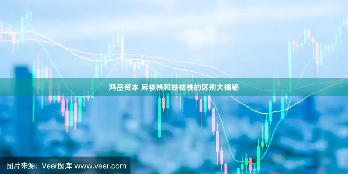 鸿岳资本 麻核桃和铁核桃的区别大揭秘