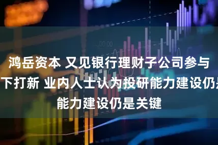 鸿岳资本 又见银行理财子公司参与IPO网下打新 业内人士认为投研能力建设仍是关键