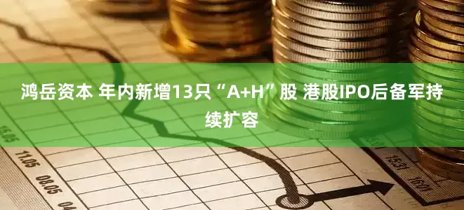 鸿岳资本 年内新增13只“A+H”股 港股IPO后备军持续扩容